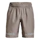 shorts-under-armour-woven-graphic-wordmark-GRIS