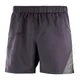 shorts-salomon-4-way-basic-7-GRIS
