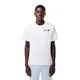 remera-lacoste-estampada-BLANCO