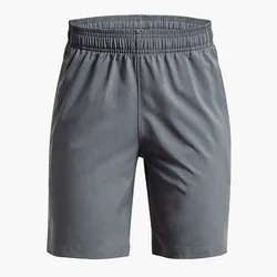Shorts Under Armour Woven Graphic