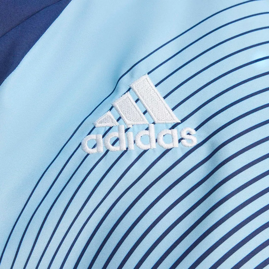 Imagen 5 de 6 de Campera adidas Deportiva Alternativa Selección Argentina 2006 Afa-MARINO/CELESTE