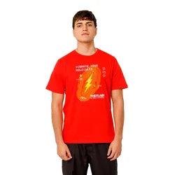 Remera Warner Bros The Flash Urbana Mc