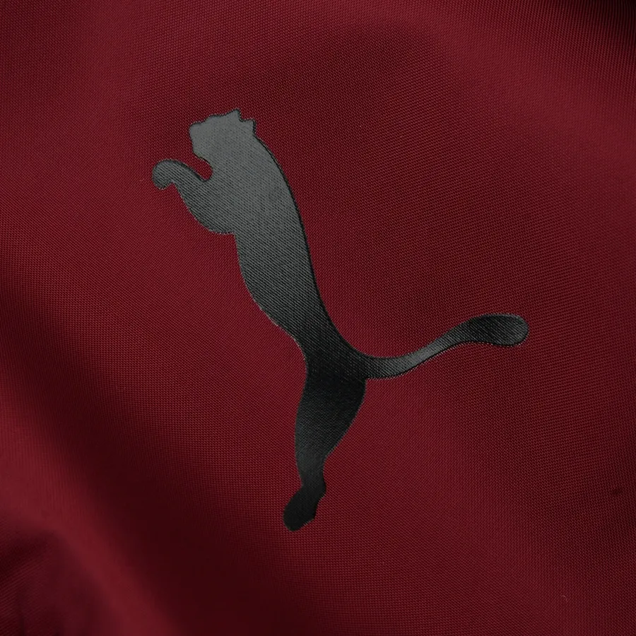 Imagen 3 de 4 de Campera Puma Essentials Windbreaker-ROSA/BORDO