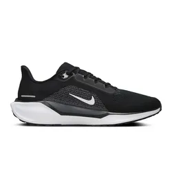 Zapatillas Nike Pegasus 41