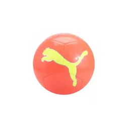 Pelota Puma Big Cat Ball