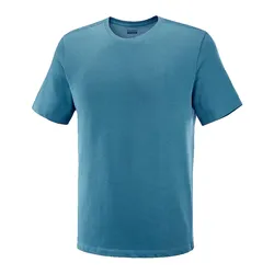 Remera Salomon Cotton Ss Tee