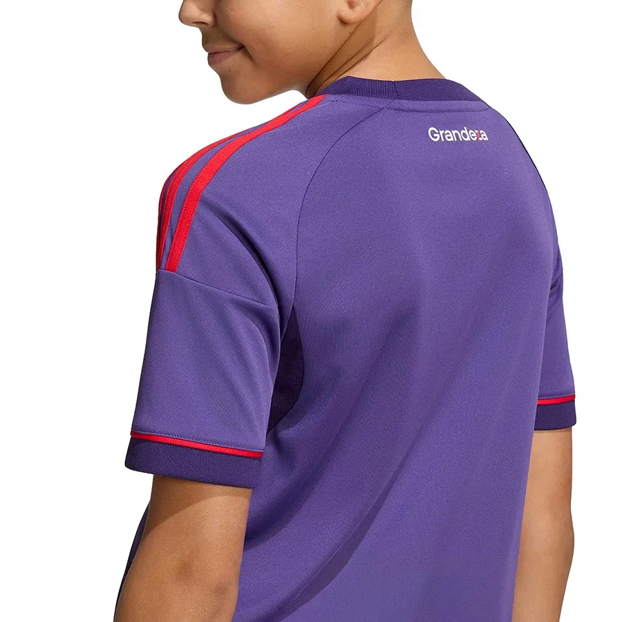 Imagen 6 de 7 de Camiseta adidas Alternativa River Plate 26-VIOLETA/ROJO