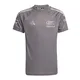 remera-adidas-piloto-audi-revolut-version-fan-GRIS
