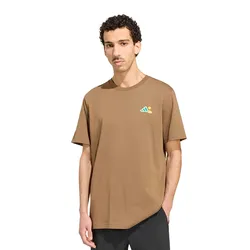 Remera adidas Graphic Terrex Camper