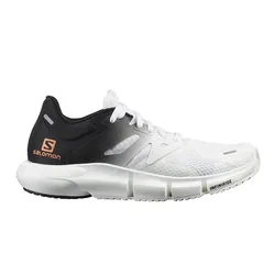 Zapatillas Salomon Predict 2