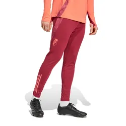 Pantalón adidas De Entrenamiento River Plate 24/25