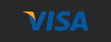 logo visa