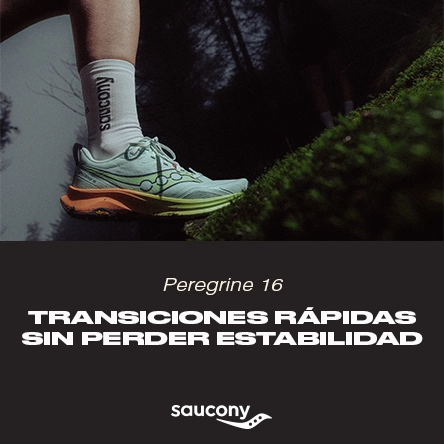 bannerperegrine uno-seis